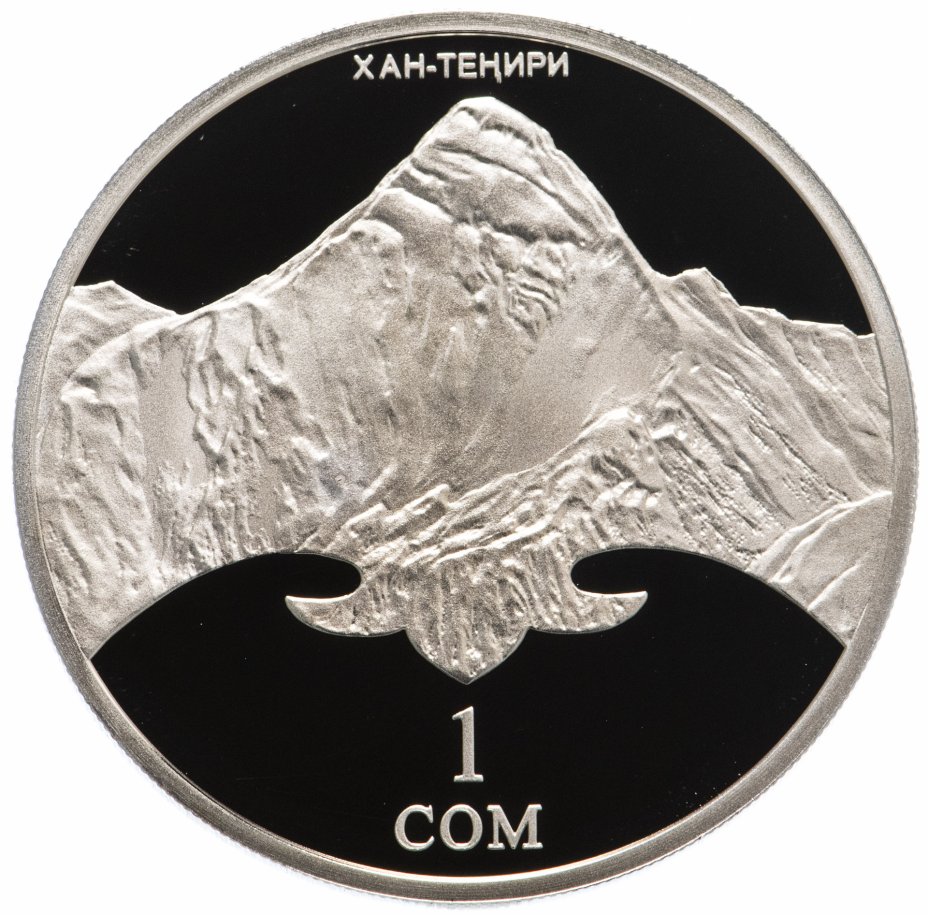 купить Киргизия (Кыргызстан) 1 сом 2011 год Пик Хан-Тенгри