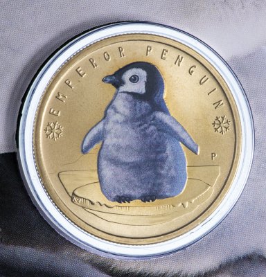 купить Тувалу 1 доллар 2017 Императорский Пингвин в буклете