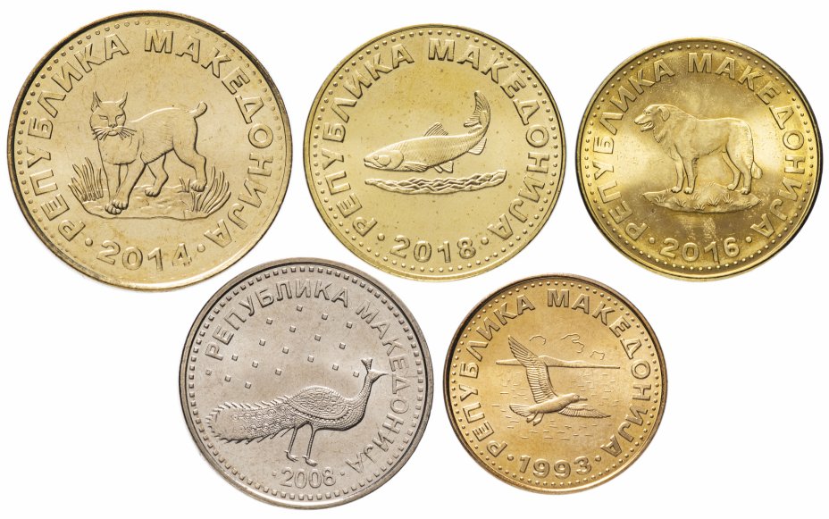 купить Македония набор монет 1993 -  2018 год 50 дени, 1, 2, 5 и 10 динаров (5 штук)