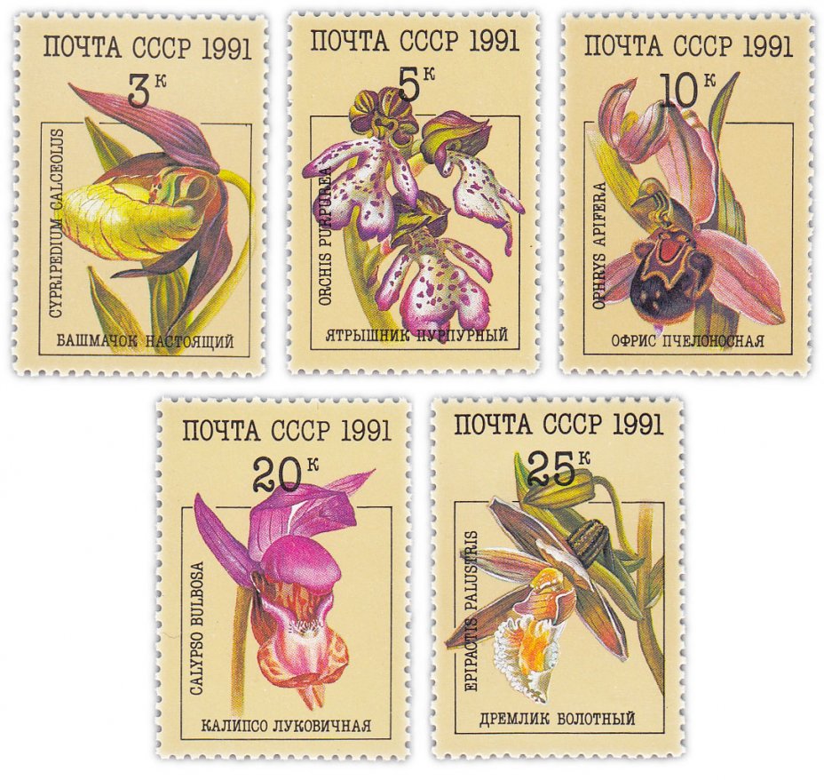 купить Полная серия 1991 "Орхидеи" (5 марок)
