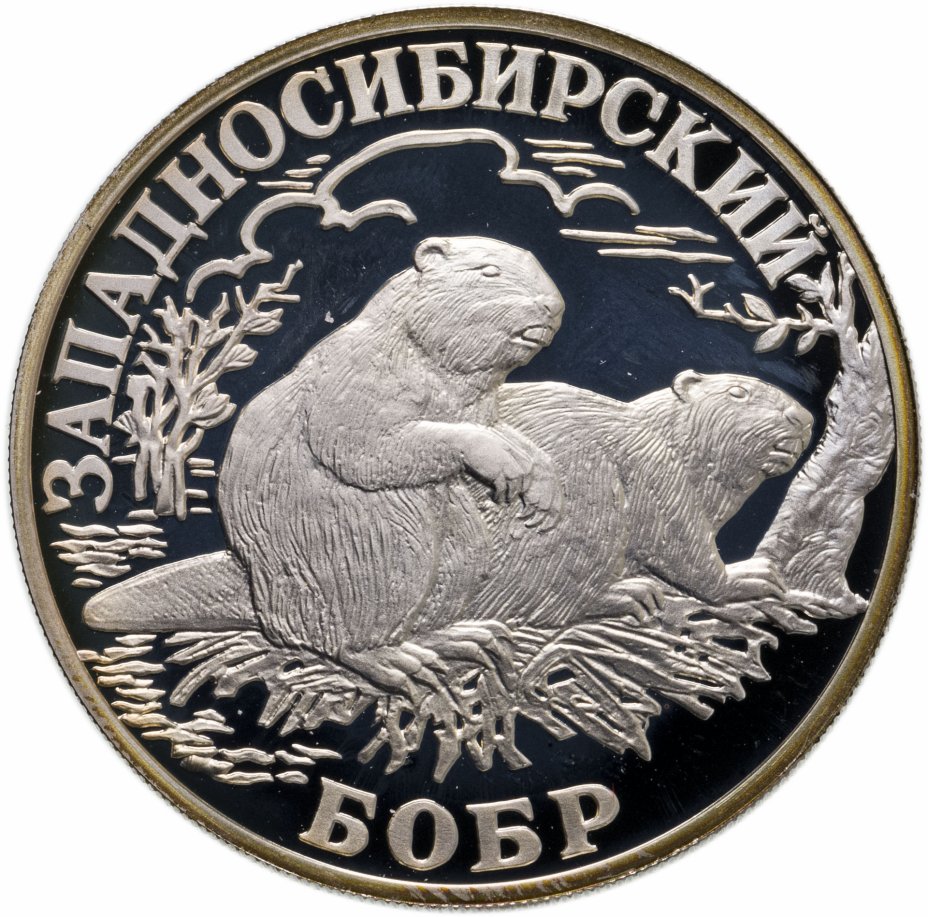 купить 1 рубль 2001 СПМД западносибирский бобр