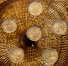 Купить Армения 200 драмов 2014 официальный набор из 6-ти монет  "Дикие деревья Армении" в буклете