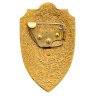 Купить Знак  Общественный Инспектор Рыбоохраны СССР  (Разновидность случайная )