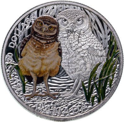 купить Канада 20 долларов 2015 Детеныши животных - Кроликовая сова