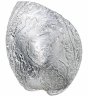 Купить Палау 5 долларов 2012 "Морские сокровища - Ракушка Пауа", в футляре с сертификатом