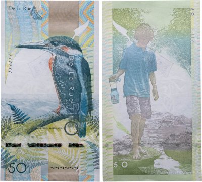 купить Тестовая банкнота Великобритания 50 De La Rue "Зимородок"