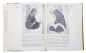 Купить Альбом (каталог) "Живопись и прикладное искусство Твери XIV-XVI века", бумага, печать, суперобложка, Издательство «Наука», СССР, 1979 г.