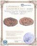 Купить Исламское Арабское подражание монете  Констанс II, 7 Век Н.Э., 40 нуммиев (Фальс).