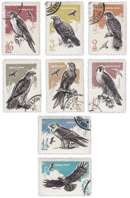 купить Набор из 8 марок 1, 2, 3, 4, 10, 12, 14, 16 копеек "Фауна. Птицы СССР" 1965