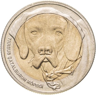 купить Турция 1 куруш 2021 "Собака чаталбурун (каталбурун)"