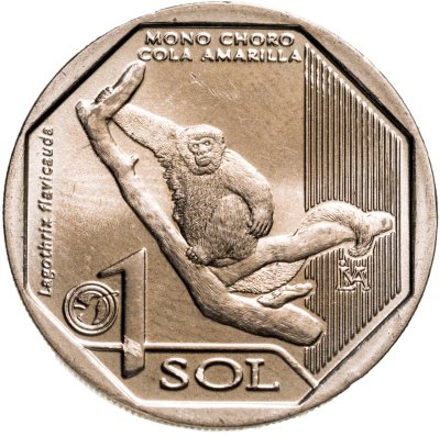 купить Перу 1 соль 2019 "Желтохвостая обезьяна (Lagothrix flavicauda)"