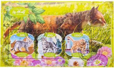 купить Габон марки квартблок "Коты и кошки" 2020