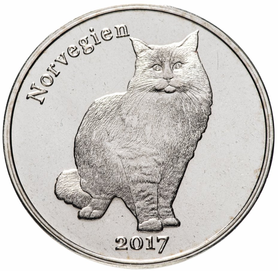 купить Остров Строма монетовидный жетон 1 фунт 2017 "Норвежская лесная кошка"