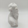Купить Бюст Л.Н. Толстого, скульптор В.И. Сычев, бисквит, Ленинградский завод фарфоровых изделий (ЛЗФИ), СССР, 1950-1970 гг.
