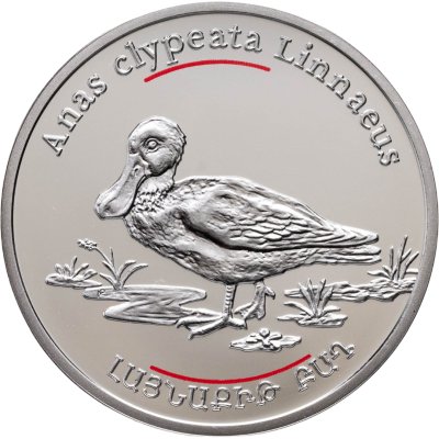 купить Армения 100 драмов 2007 "Красная книга - Широконосая утка" в рамке с сертификатом