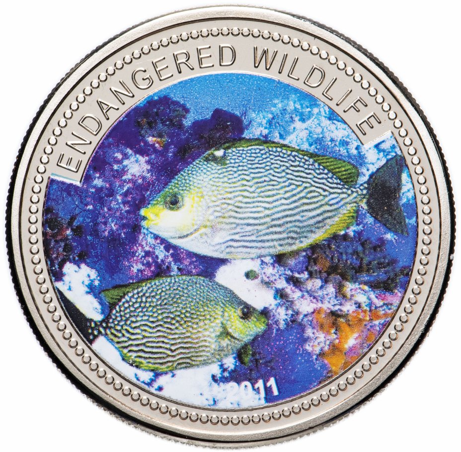 купить Палау 1 доллар 2011 "Подводный мир - Вымирающие виды - Рыба type 1"