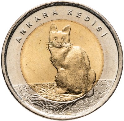 купить Турция 1 лира 2015 "Фауна Турции - Турецкая ангора"