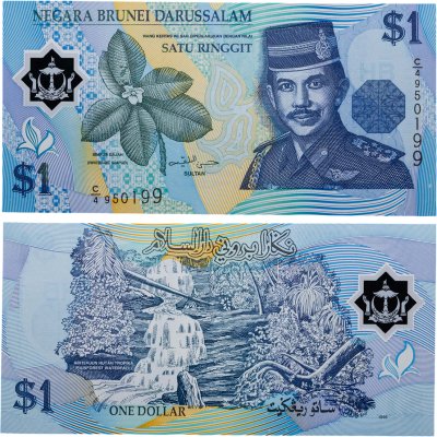 купить Бруней 1 доллар ринггит 1996 "Тропический лес, водопад" полимер Pick 22а