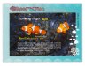 Купить Папуа Новая Гвинея Почтовый блок  2019 "Амфиприон (рыба-клоун)"