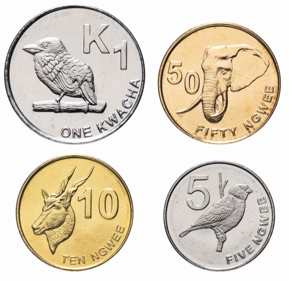 купить Замбия набор монет 2012 года  (4 штуки)