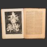Купить [Редкость] Столица и усадьба. Журнал красивой жизни. № 70 (15 ноября 1916 г.) Автор Владимир Пименович Крымов, бумага, Издательское товарищество «Р. Р. Голике и А. И. Вильборг», Российская империя, 1916 г.