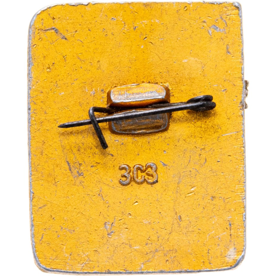 купить Знак "1 разряд Лыжи" СССР