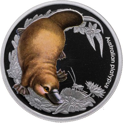 купить Австралия 50 центов 2013 «Утконос»