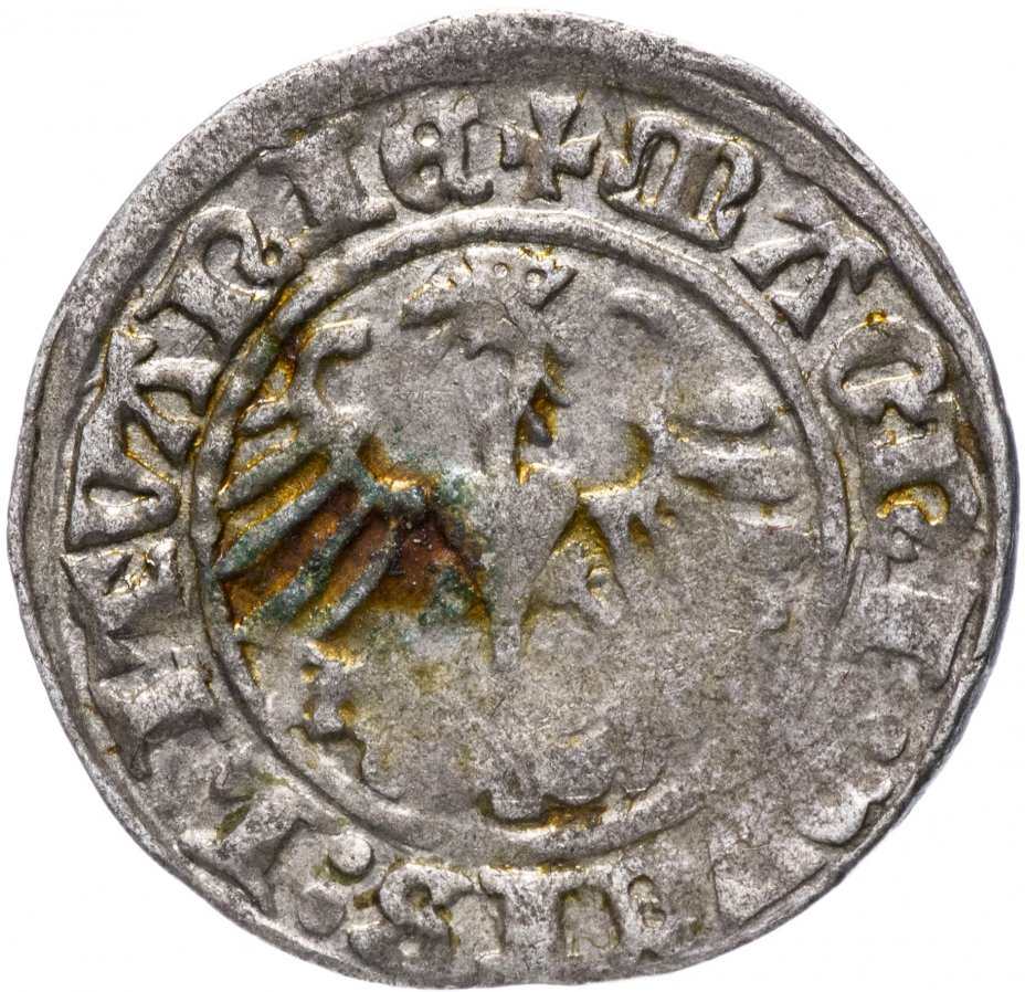 купить Великое княжество Литовское, Сигизмунд I Старый, полугрош 1513 г.
