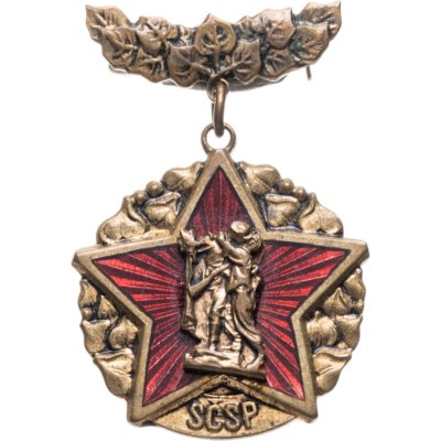 купить Почетный знак общества "Союз Чехословацко-советской дружбы", Чехословакия, 1950-1960 гг.