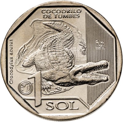 купить Перу 1 соль 2017 "Фауна Перу - Острорылый крокодил (Crocodylus acutus)"