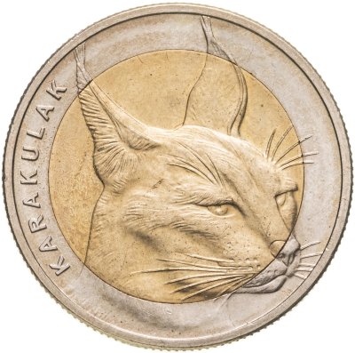 купить Турция 1 куруш 2021 "Каракал"