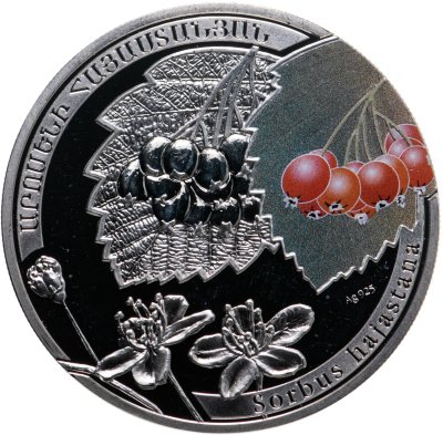 купить Армения 1000 драмов 2011 "Армянская рябина"
