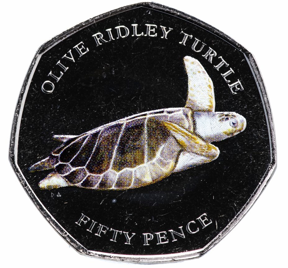 купить Британская территория в Индийском океане 50 пенсов 2019 "Оливковая черепаха"