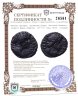 Купить Римская империя, провинция Иудея, Фаустина Младшая, супруга Марка Аврелия, 147-175 годы, АЕ20. (Гадара)