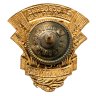 Купить Знак "За освоение новых земель ЦК ВЛКСМ"