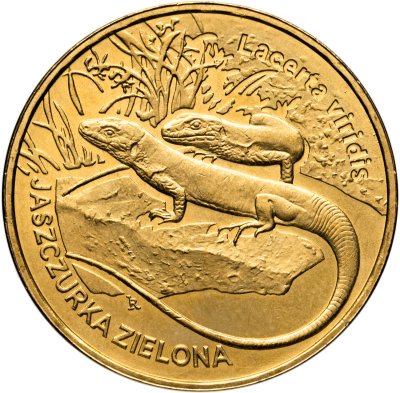 купить Польша 2 злотых (zlote) 2009 "Всемирная природа - Зелёная ящерица"