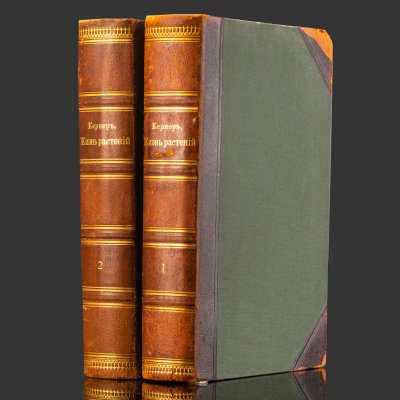 купить Книга А. Кернер фон-Марилаун «Жизнь растений» с иллюстрациями, том 1, том 2, бумага, печать, кожа, тиснение, золочение, Книгоиздательское товарищество «Просвещение», Российская империя, 1903 г.