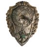 Купить Нагрудный знак "Отличник желдорвойск", латунь, эмаль. СССР, 1950-гг