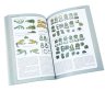 Купить Альманах древней культуры и искусства "Домонгол" № 1/2010 г. Под ред. А.Н. Трошина .