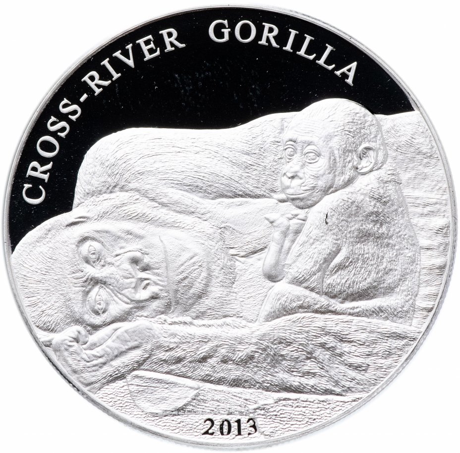 купить Камерун 1000 франков 2013 "Речные гориллы", в футляре с сертификатом
