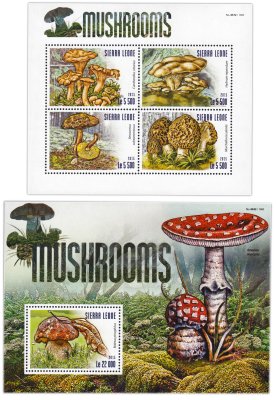 купить Сьерра-Леоне набор марок из 2 квартблоков "Флора и фауна. Грибы" 2015