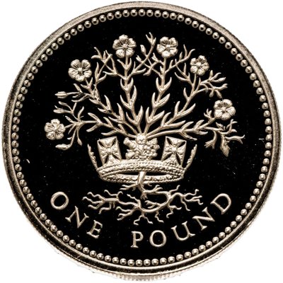 купить Великобритания 1 фунт (pound) 1991