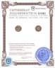 Купить Сомали 100 шиллингов (shillings) 2023 Слон