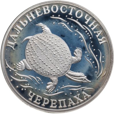купить 1 рубль 2003 СПМД дальневосточная черепаха