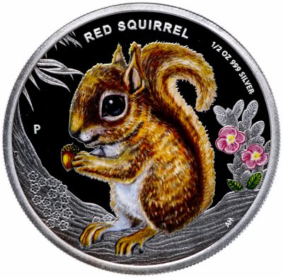 купить Тувалу 50 центов 2013 "Детеныши леса-Белка"