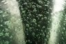 Купить Кубок для вина зеленого оттенка на фигурной ножке, стекло, техника бульгазе, Муранское стекло, Италия, 1960-1980 гг.