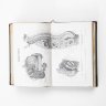 Купить Южаков С.Н. "Большая энциклопедия. Словарь общедоступных сведений по всем отраслям знания" (В 20 томах), издание четвёртое, бумага, печать, Типо-литография книгоиздательского товарищества «Просвещение», Российская империя, 1900-1909 гг.