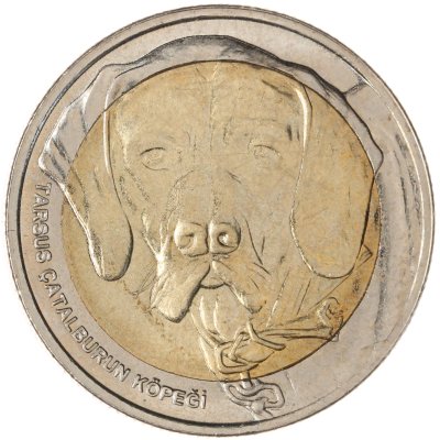 купить Турция 1 куруш 2021 "Собака чаталбурун (каталбурун)"