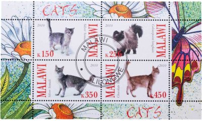 купить Малави марки квартблок "Коты и кошки" 2010