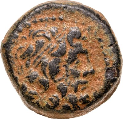 купить Государство Селевкидов, Деметрий II Никатор, 129-125 до.н.э , АЕ18.